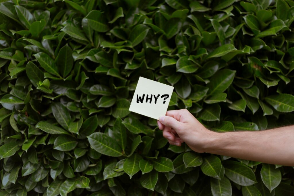 pexels-photo-21939167-21939167 A hand holding a note with the word 'WHY?' against a backdrop of green leaves.
